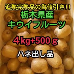 終了‼️ 栃木県産キウイフルーツ追熟完熟ハネ出し品 Ｍ玉前後 4.5kg