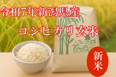 令和7年産 新潟県産コシヒカリ玄米 25kg - メルカリ