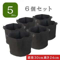不織布ポット 5ガロン 6個 不織布プランター 10号 植木鉢 フェルトプランター 軽い 軽量 家庭菜園 深鉢 フェルト 布鉢 黒