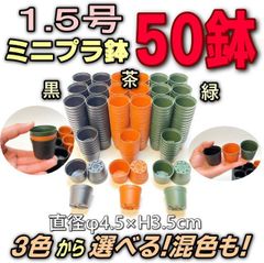 1.5号鉢ミニプラ鉢- [黒/茶/緑/混色] 50鉢＠多肉植物・塊根植物コーデックス・アガベ・サボテン・観葉・ハオルチア・アデニウム・パキポディウム・実生＠フラワーショップ江口