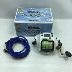 2025年最新】電動丸 4000Rの人気アイテム - メルカリ