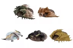 【中古】トレーディングフィギュア 全5種セット 「モンスターハンター 捕獲し隊3」