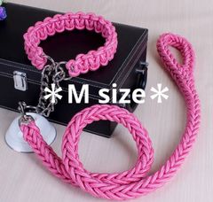 Item thumbnail for item e1a2bd2a-0c5a-4d0f-962c-0fa8bd3a5116