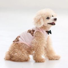 犬と生活　テディタンク