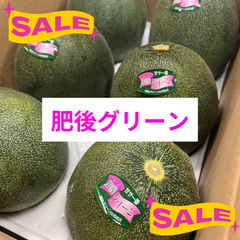 【特売日開催】九州産　肥後グリーン　メロン　　※送料無料　5kg 父の日　果物　旬の果物　お取り寄せ　タイムセール　フルーツ　甘い果物　肥後グリーンメロン