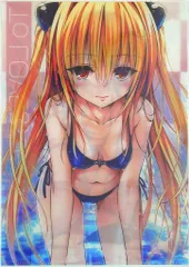 2025年最新】toloveるダークネス クリアファイルの人気アイテム