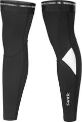 Item thumbnail for item 22a0aef8-fe16-45a5-aabf-8bad7e4ae6d3