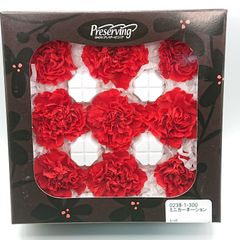 大地農園 ミニカーネーション レッド 新品1箱
