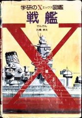 『維摩経・解深蜜経』譯著者 岩野眞雄 佛教經典叢書刊行会 維摩経・解深密経 岩野眞雄譯著 仏教経典叢書刊行会 1922年 函