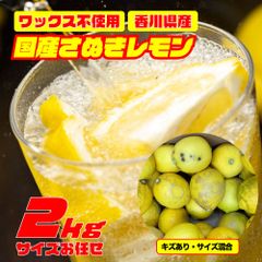 【訳あり】さぬきレモン 約２ｋｇサイズおまかせ 国産（香川県産）　レモン　果物