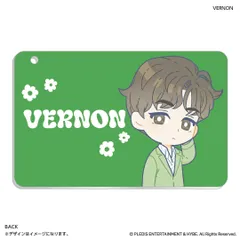 ☆ PetiTEEN スライドカードケース VERNON SEVENTEEN グッズ PetiTEEN スライドカードケース VERNON バーノン セブチ プチティーン パスケース 定期入れ カードケース 定期券入れ ICカードケース カードホルダー