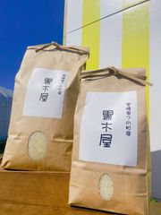 宮崎県産コシヒカリ5kg   美味しいお米　無洗米