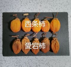 97 干し柿　西条柿　愛宕柿　食べ比べ　やわらか　10個