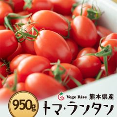 【熊本県産】超濃厚ミニトマト‼️「トマランタン950g」