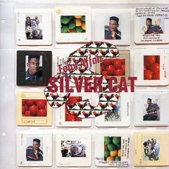 【中古】その他CD シルヴァー・キャット / イン・ア・フォウル・アフェア