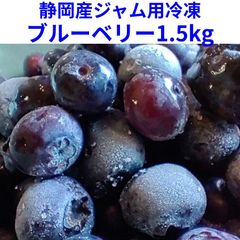静岡産ジャム用冷凍ブルーベリー1.5kg　全国一律価格