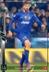 【中古】パニーニ フットボールリーグ PFL14 012/119[R]：[コード保証無し]フェルナンド・ジョレンテ