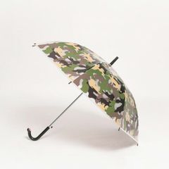 Item thumbnail for item 85eb1727-512f-470e-98f7-53e73c31b917