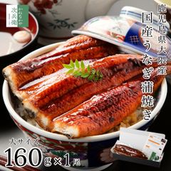 母の日 ギフト 鹿児島 大隅産 国産 うなぎ 大サイズ 約160g 【ギフト対応可】 お歳暮 お中元 無頭 冷凍 鰻 蒲焼 プレゼント 土用 丑の日【C配送：冷凍】