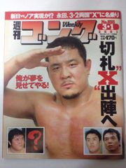 新日本プロレス 内藤哲也選手直筆サイン入りタペストリー(DESTRUCTION '11 会場で入場ゲートの天井の幕として使用) 新日本プロレス 内藤哲也選手直筆サイン入りタペストリー