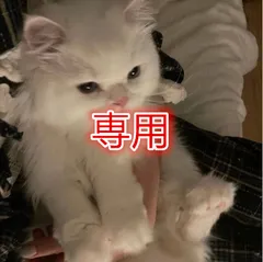 専用