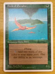 2025年最新】極楽鳥 mtgの人気アイテム - メルカリ