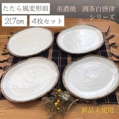 渕茶白唐津 たたら風変形皿 楕円形 4点セット 美濃焼
