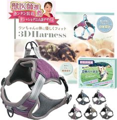 Item thumbnail for item 9a08f9ed-2fb2-4d5d-869d-47d5d900105b