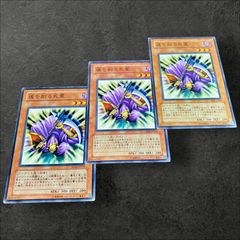 a2562【遊戯王】魂を削る死霊 3枚セット - メルカリ