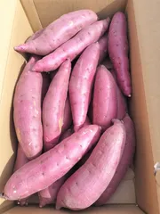 茨城県産のさつま芋「紅はるか」