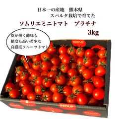 【初物】ソムリエミニトマト　プラチナ３kg（１２０玉〜２００玉）