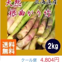2025年最新】姫竹 北海道の人気アイテム - メルカリ