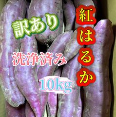 茨城県産　さつまいも　紅はるか　訳あり　10kg