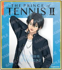 新テニスの王子様 テニプリ 新テニ 越前リョーマ イラストカード 新テニスの王子様 テニプリ 新テニ 越前リョーマ イラストカード