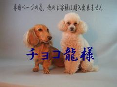 チョコ龍様　専用ページ