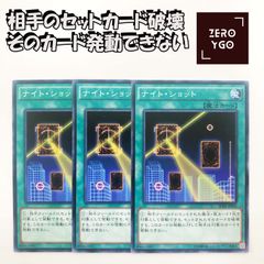 ナイト・ショット