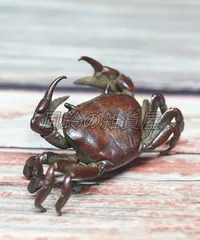 2025年最新】蟹置物の人気アイテム - メルカリ