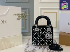 【今日特価】DIOR Lady Dior キャンバスと水?のハンドバッグ！送料無料で今の在庫はお得な価格です！WT1輸入
