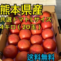 熊本県産　八代トマト(Lサイズ)　20玉　4キロ　訳アリ