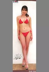 安い森咲智美 等身大ポスターの通販商品を比較 | ショッピング