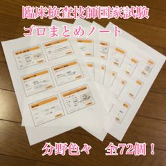 みか/臨床検査技国家試験対策ノートまとめ　とじしろありB5両面印刷 メジカルビュー社｜分野一覧「臨床検査技師／臨床検査技師」