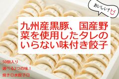 産地直送！タレのいらない味付き餃子　選べるお味3種【冷凍品】タイガー餃子　熊本　九州産黒豚　国産野菜　おいしい　水餃子　焼き餃子　直送　お酒　一人暮らし　くまもと　餃子　ギョウザ　ぎょうざ　安心　ピリ辛　コラーゲン