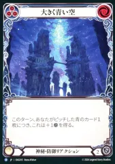 2025年最新】Flesh and blood エニグマの人気アイテム - メルカリ