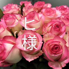 バラ 大輪A級 ジュミリア45センチ20本(切り花  生花)