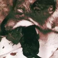 【中古】Dance My Generation  /  ゴールデンボンバー（帯あり）