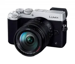 2025年最新】lumix gx8の人気アイテム - メルカリ