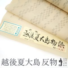【新品】 夏物 越後夏大島 着物 着尺 反物 薄物 正絹 絹 十日町 白新染織 白川貞夫 別誂 紗紬 ベージュ 小絣 縞 カジュアル お食事 ショッピング 観劇など 夏きもの カジュアル着物 販売 購入 新品 未仕立て みやがわ sb12899