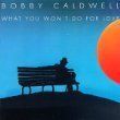 【中古CD】What You Won't Do for Love /Sin-Drome Records /Caldwell, Bobby /K1502-240516B-4736 /715776888928