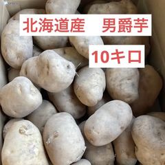 北海道産 じゃがいも きたかむい ミニかぼちゃ 低農薬 - メルカリ