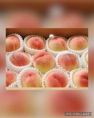 ☆完熟訳あり桃大量☆山梨産もも８〜１０玉箱☆白鳳桃☆黄金桃